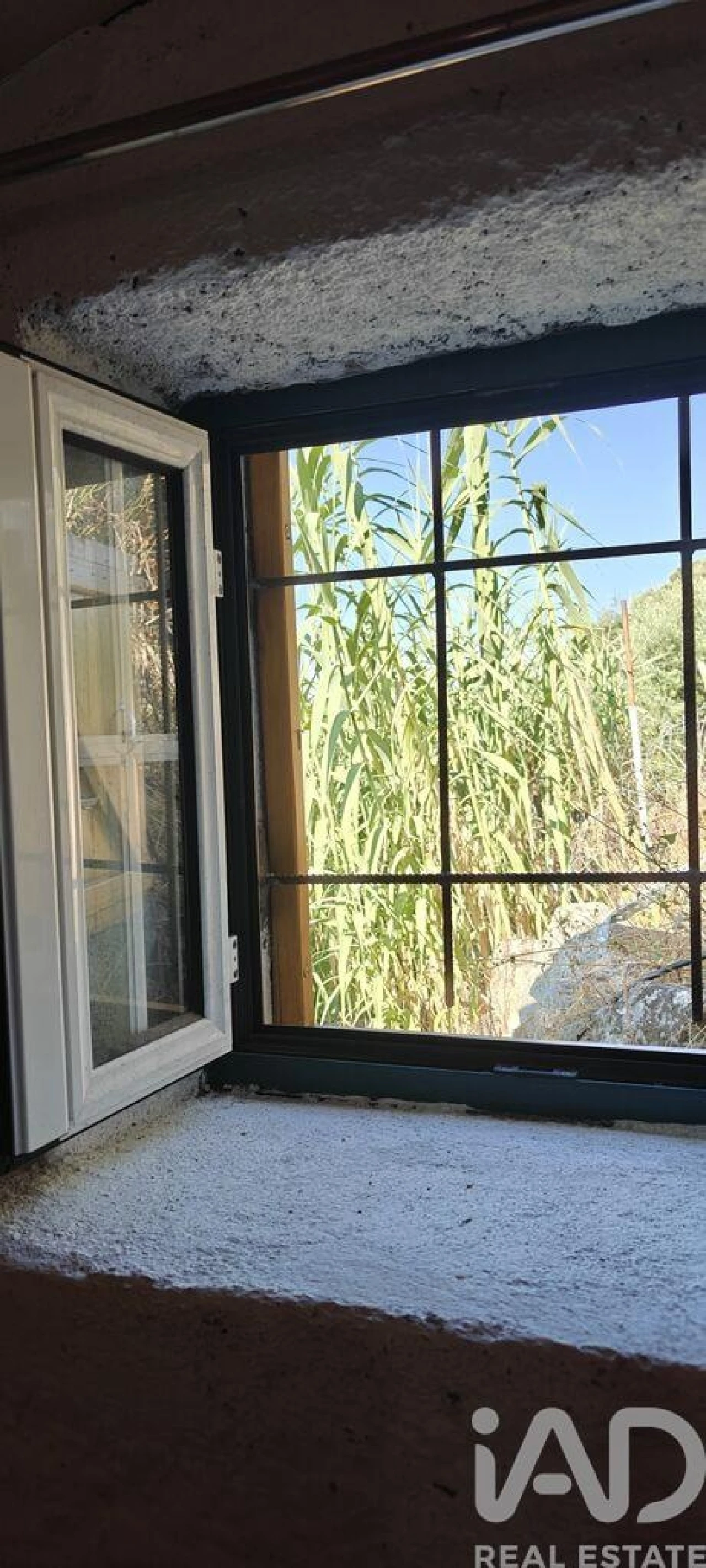 Quinta para Venda em Idanha-A-Nova e Alcafozes Foto 13