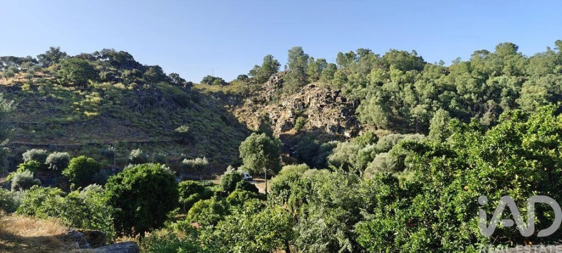 Quinta para Venda em Idanha-A-Nova e Alcafozes Foto 15