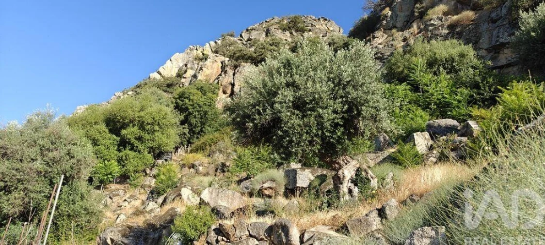 Quinta para Venda em Idanha-A-Nova e Alcafozes Foto 16