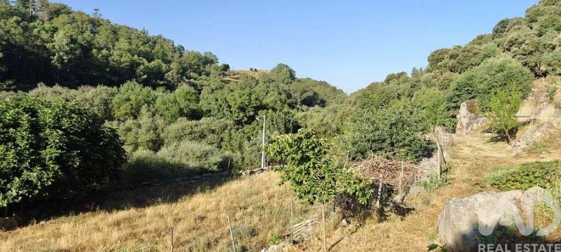 Quinta para Venda em Idanha-A-Nova e Alcafozes Foto 4