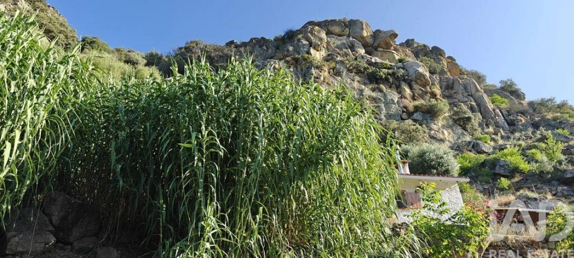 Quinta para Venda em Idanha-A-Nova e Alcafozes Foto 5