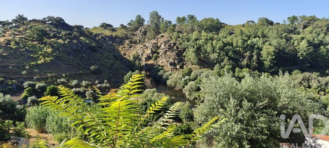 Quinta para Venda em Idanha-A-Nova e Alcafozes Foto 6