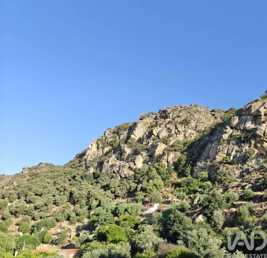 Quinta para Venda em Idanha-A-Nova e Alcafozes Foto 1