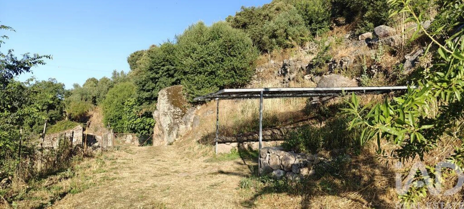 Quinta para Venda em Idanha-A-Nova e Alcafozes Foto 3