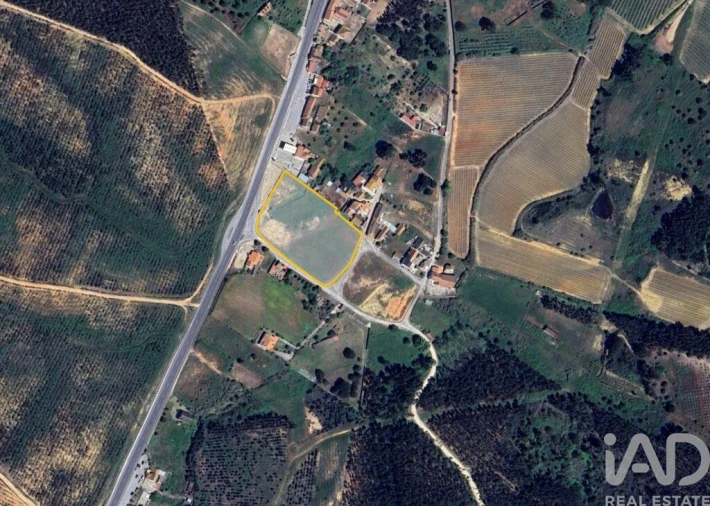 Terreno para Venda em Alcoentre Foto 4