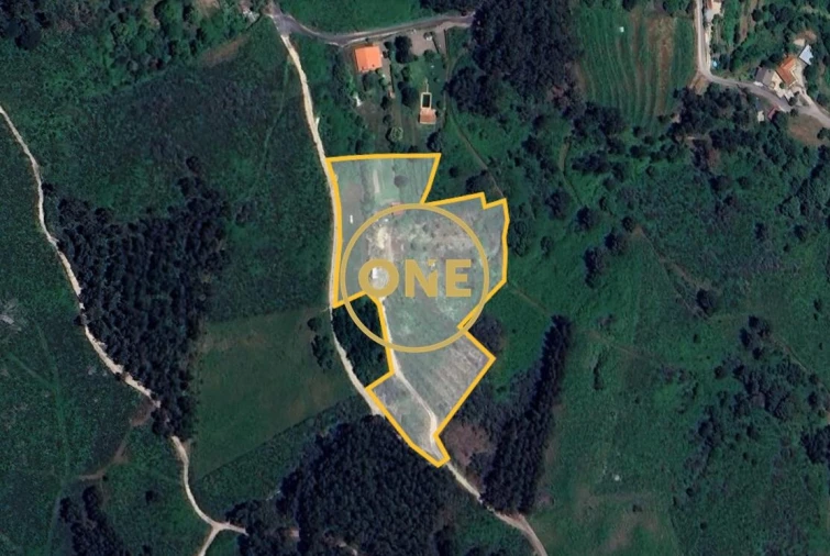 Terreno para Venda em Gondufe Foto 11