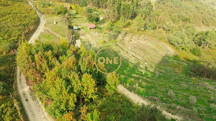 Terreno para Venda em Gondufe Foto 8