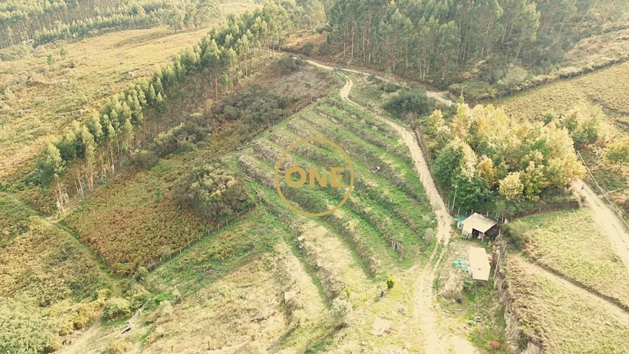 Terreno para Venda em Gondufe Foto 6
