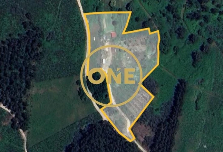 Terreno para Venda em Gondufe Foto 12