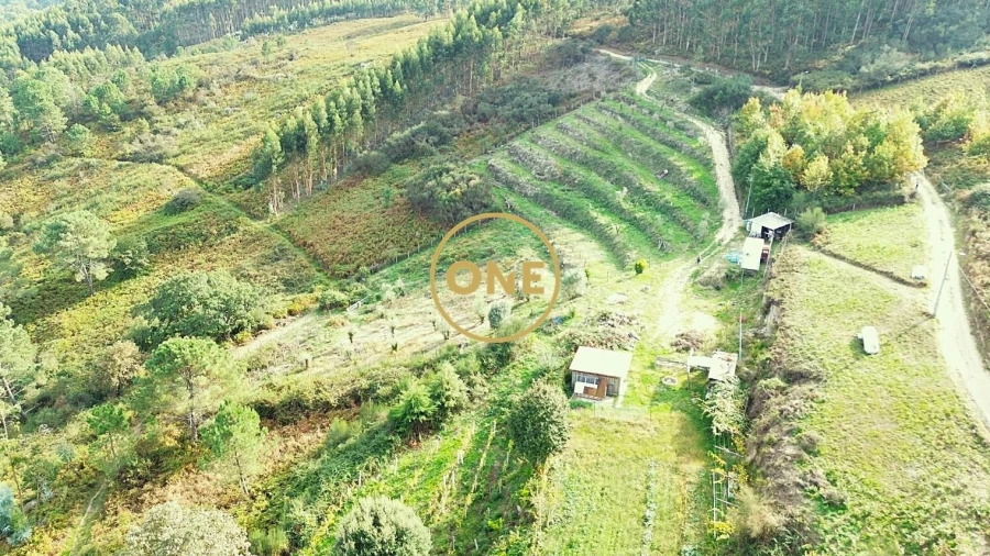 Terreno para Venda em Gondufe Foto 7