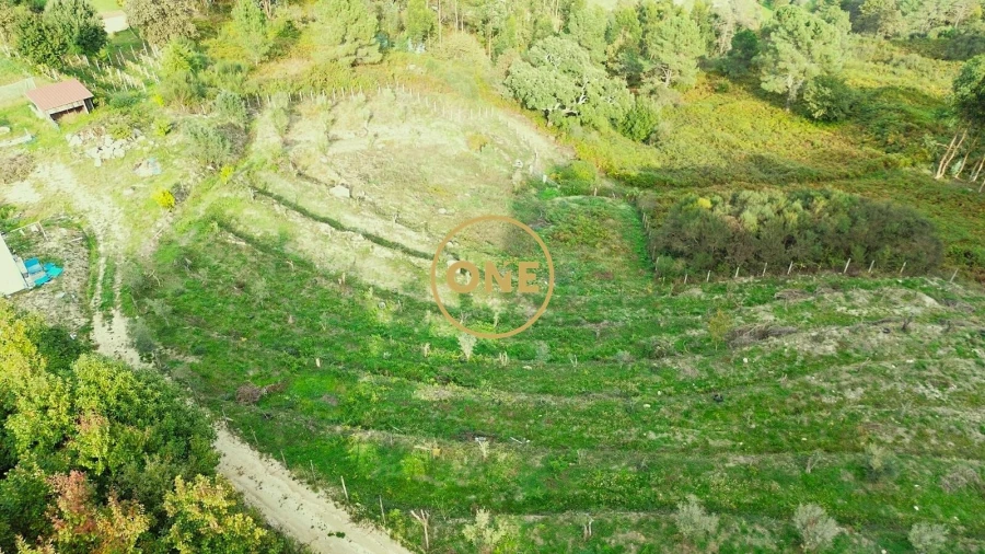 Terreno para Venda em Gondufe Foto 9