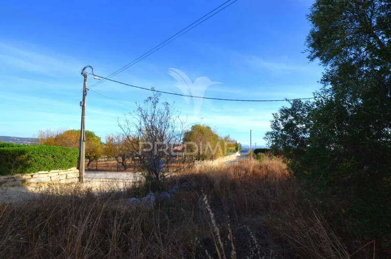 Terreno para Venda em Loule (São Clemente) Foto 15