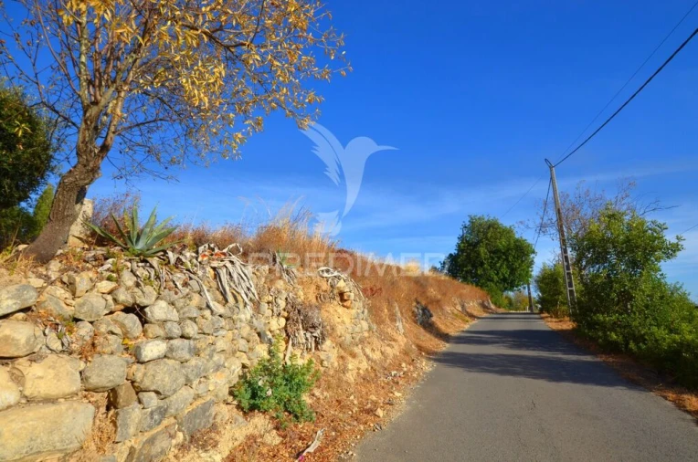 Terreno para Venda em Loule (São Clemente) Foto 17