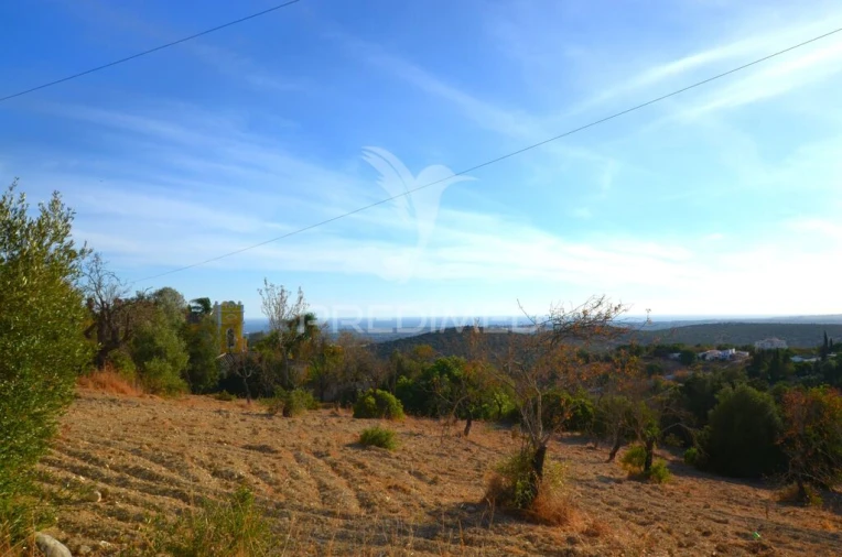 Terreno para Venda em Loule (São Clemente) Foto 13