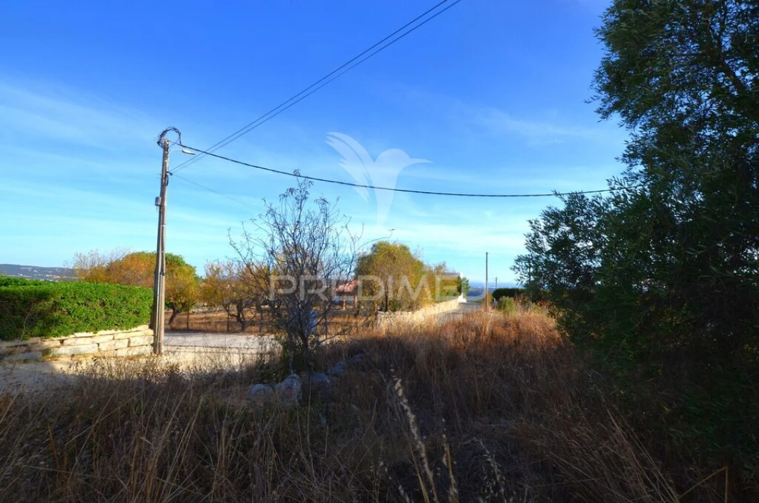 Terreno para Venda em Loule (São Clemente) Foto 15