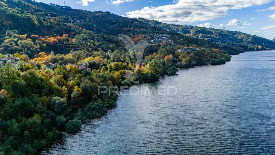 Terreno para Venda em Caniçada e Soengas Foto 18