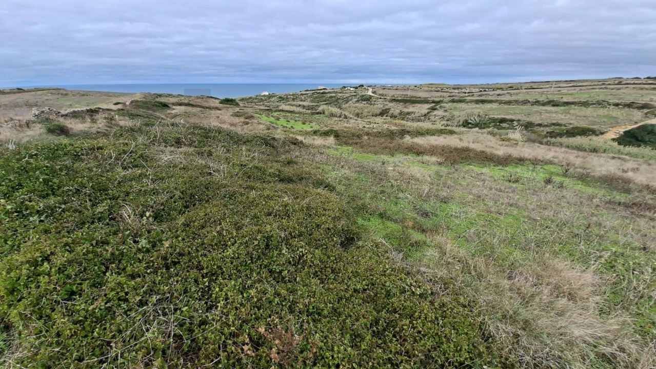 Terreno para Venda em Santa Maria e São Miguel, São Martinho, São Pedro Penaferrim Foto 4