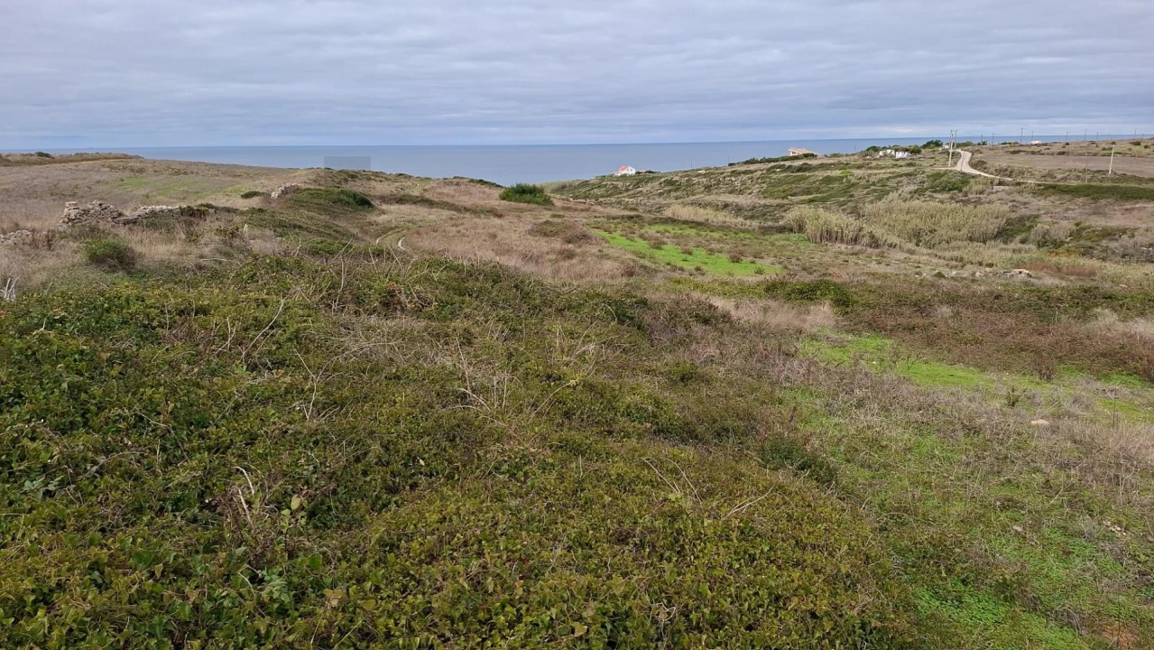 Terreno para Venda em Santa Maria e São Miguel, São Martinho, São Pedro Penaferrim Foto 3