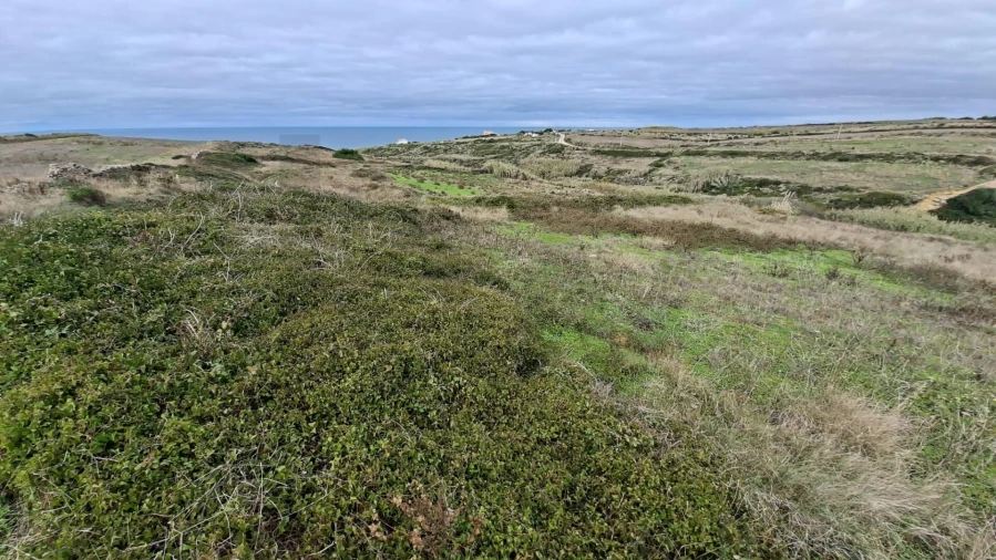 Terreno para Venda em Santa Maria e São Miguel, São Martinho, São Pedro Penaferrim Foto 4