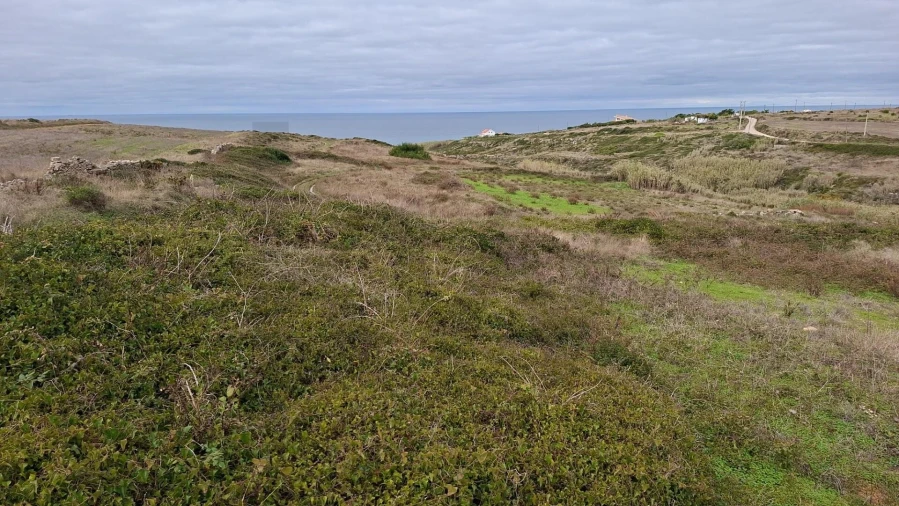 Terreno para Venda em Santa Maria e São Miguel, São Martinho, São Pedro Penaferrim Foto 3