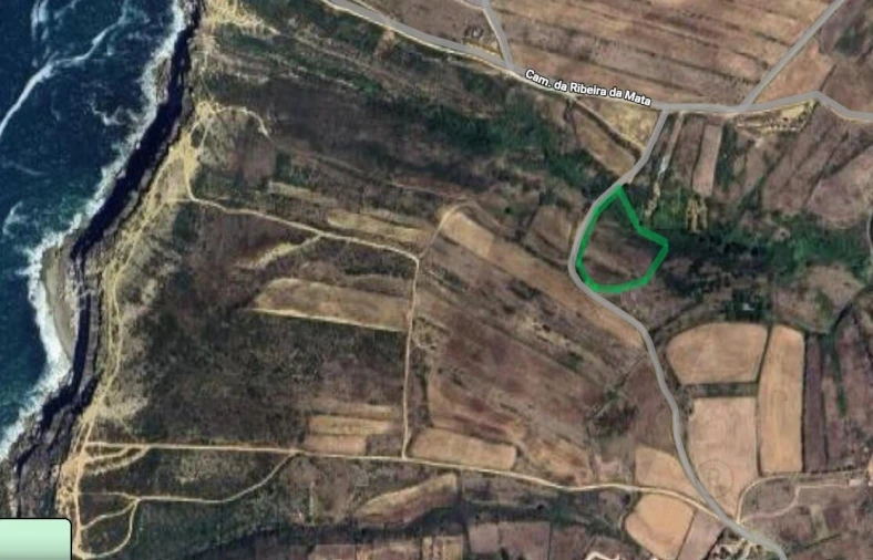 Terreno para Venda em Santa Maria e São Miguel, São Martinho, São Pedro Penaferrim Foto 1