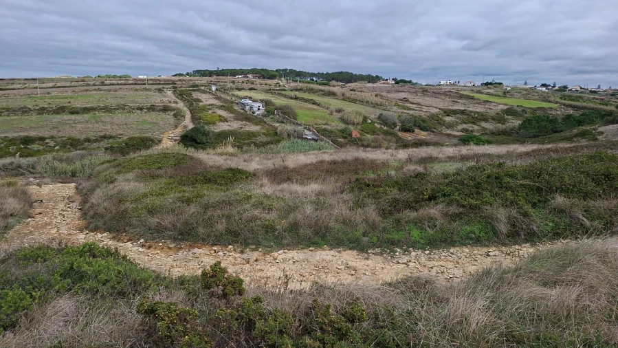 Terreno para Venda em Santa Maria e São Miguel, São Martinho, São Pedro Penaferrim Foto 2