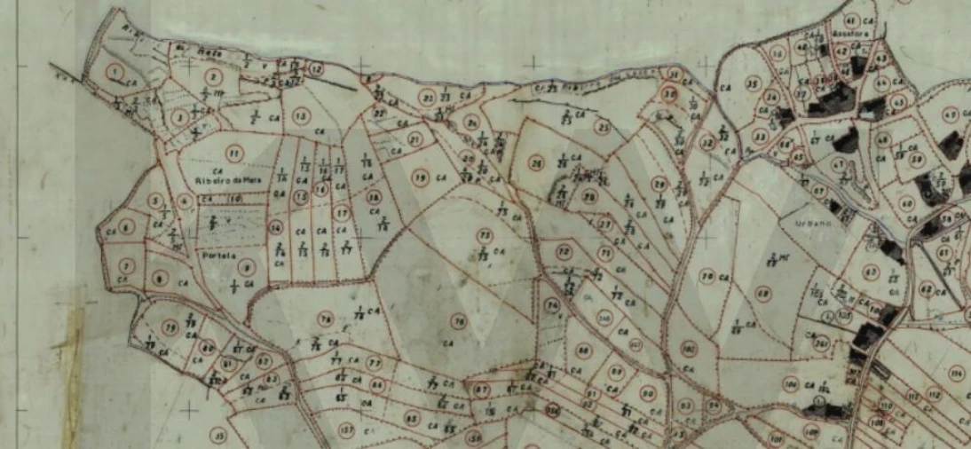 Terreno para Venda em Santa Maria e São Miguel, São Martinho, São Pedro Penaferrim Foto 5