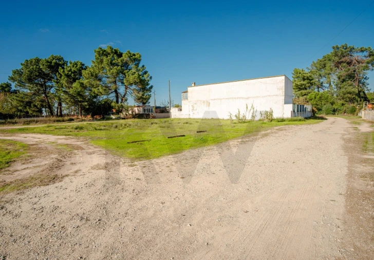 Terreno para Venda em Quinta do Anjo Foto 3