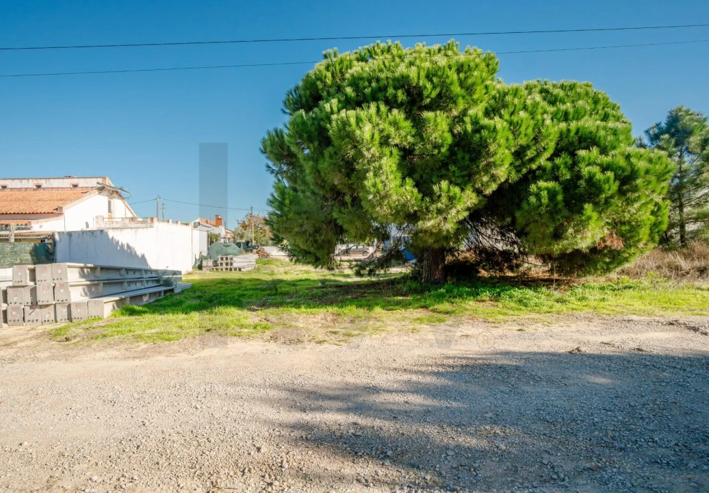 Terreno para Venda em Quinta do Anjo Foto 4