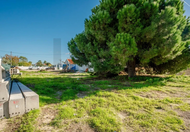 Terreno para Venda em Quinta do Anjo Foto 3