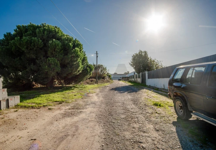 Terreno para Venda em Quinta do Anjo Foto 5
