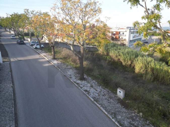 Terreno para Venda em São Pedro de Tomar Foto 14