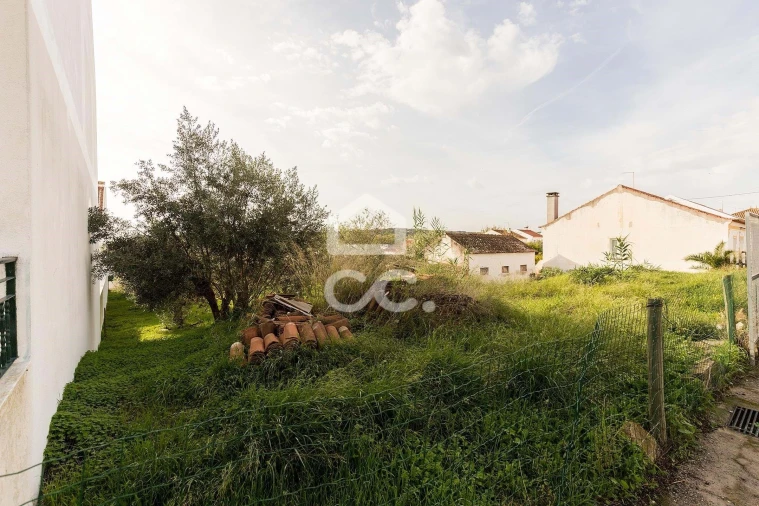 Terreno para Venda em São Bento do Mato Foto 13
