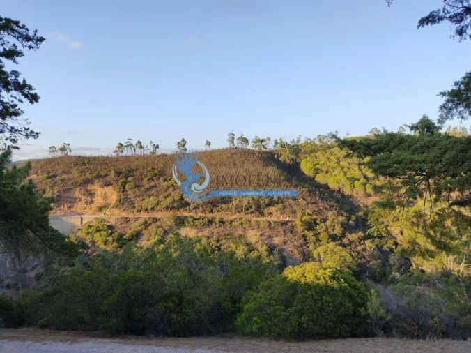 Terreno para Venda em Lagos (São Sebastião e Santa Maria) Foto 6