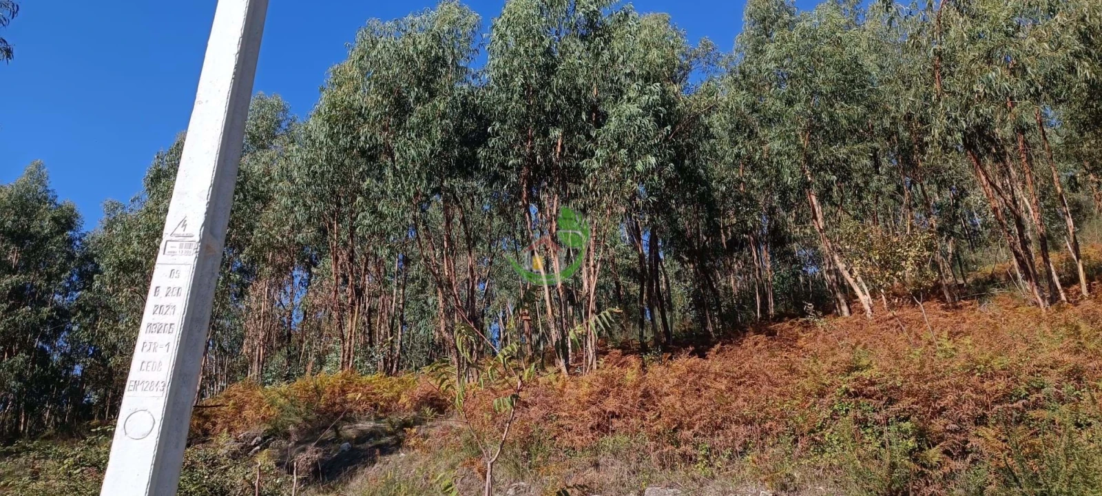 Terreno para Venda em Oriz (Santa Marinha) e Oriz (São Miguel) Foto 8
