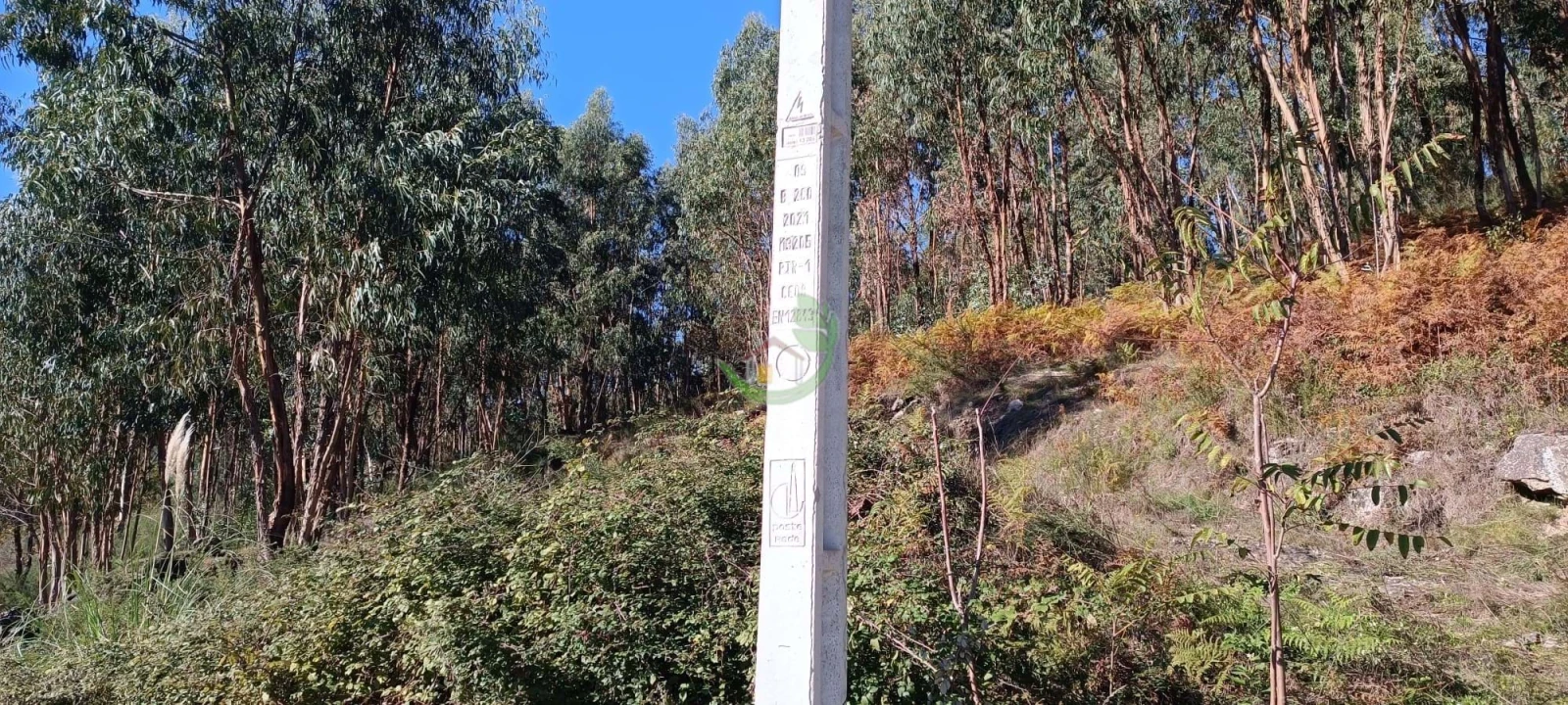 Terreno para Venda em Oriz (Santa Marinha) e Oriz (São Miguel) Foto 7