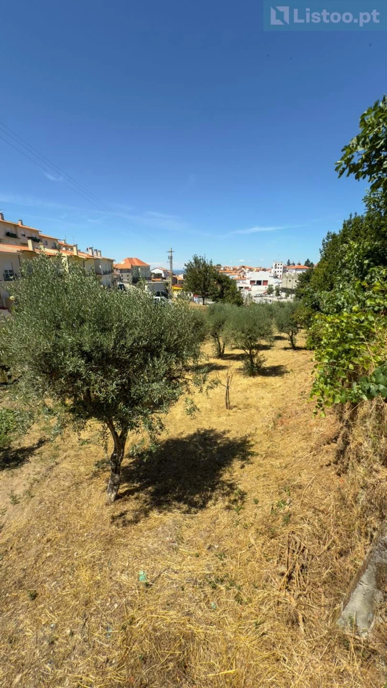 Moradia T4 para Venda em Gouveia (São Pedro e São Julião) Foto 32
