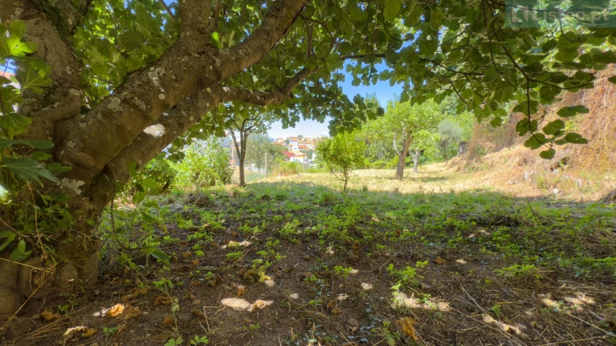 Moradia T4 para Venda em Gouveia (São Pedro e São Julião) Foto 31