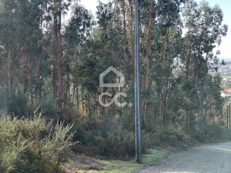 Terreno para Venda em Cristelos, Boim e Ordem Foto 3