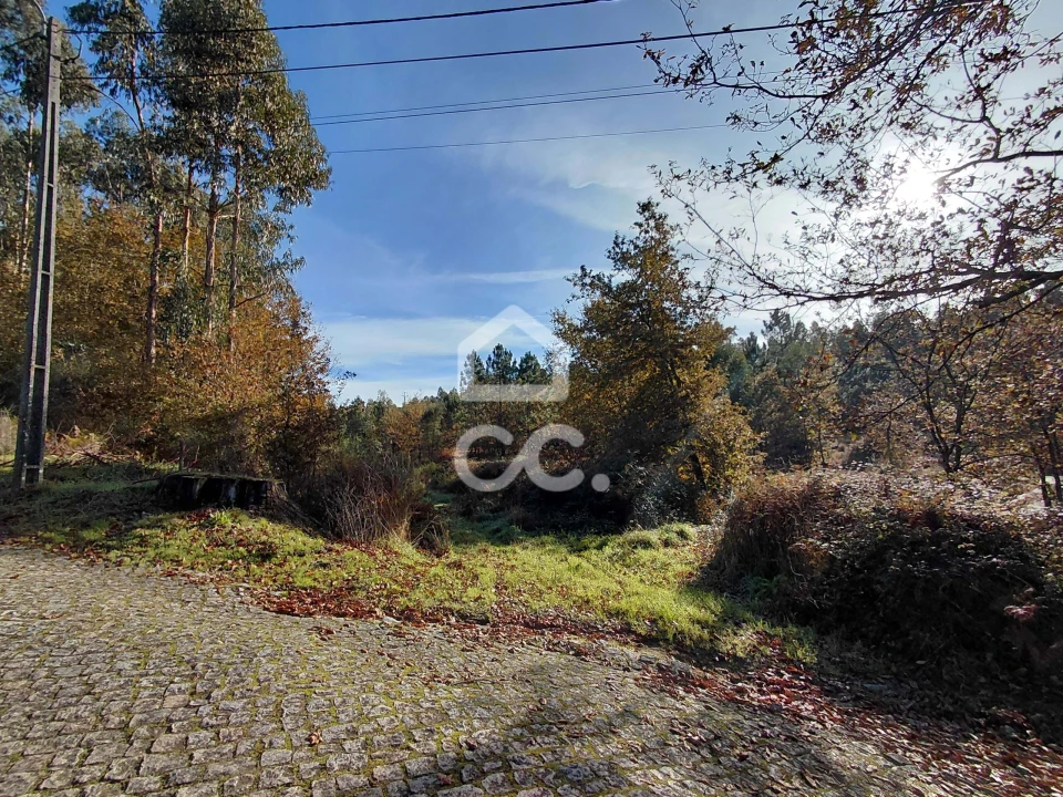 Terreno para Venda em Cristelos, Boim e Ordem Foto 10