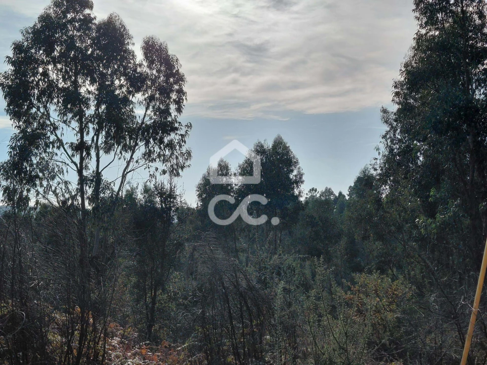 Terreno para Venda em Cristelos, Boim e Ordem Foto 4