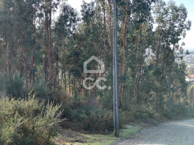 Terreno para Venda em Cristelos, Boim e Ordem Foto 3