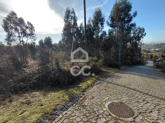 Terreno para Venda em Cristelos, Boim e Ordem Foto 6