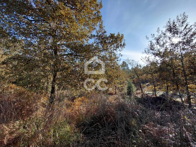 Terreno para Venda em Cristelos, Boim e Ordem Foto 12