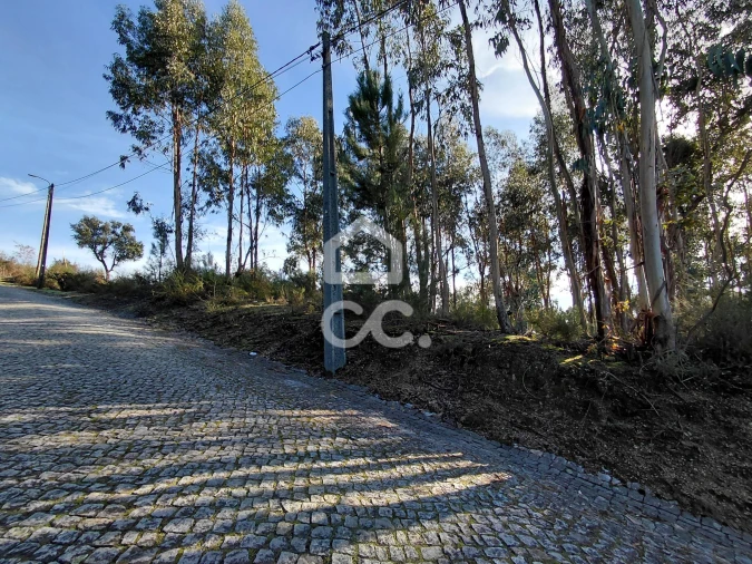 Terreno para Venda em Cristelos, Boim e Ordem Foto 8