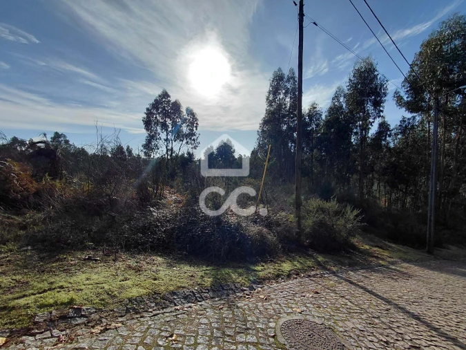 Terreno para Venda em Cristelos, Boim e Ordem