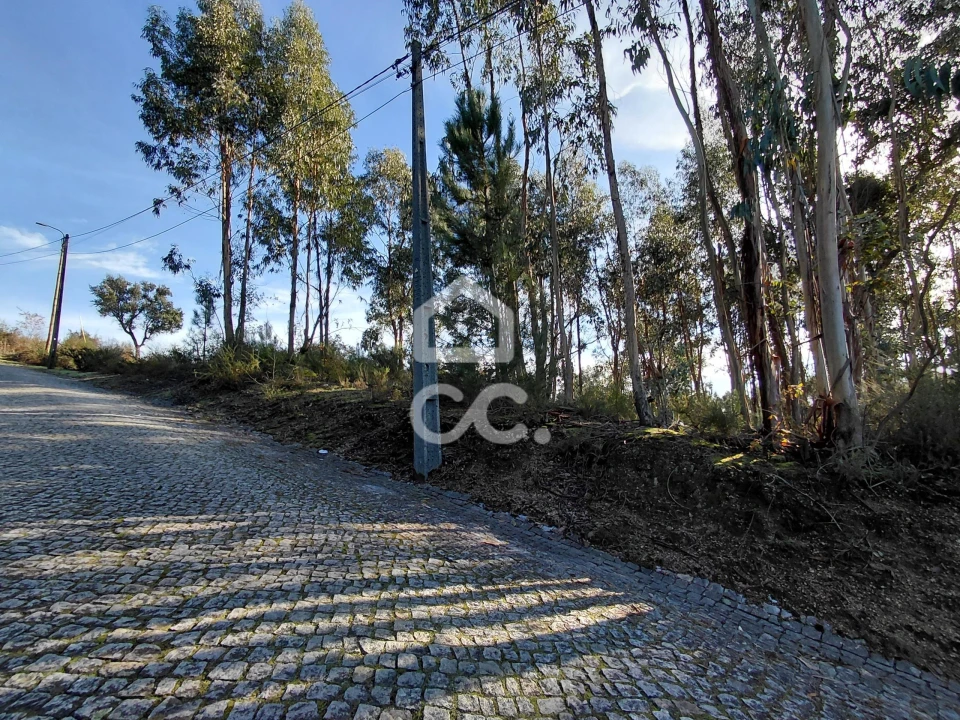 Terreno para Venda em Cristelos, Boim e Ordem Foto 8
