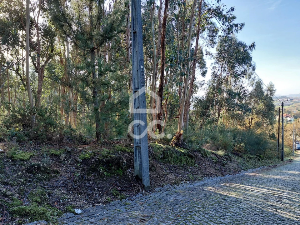 Terreno para Venda em Cristelos, Boim e Ordem Foto 7