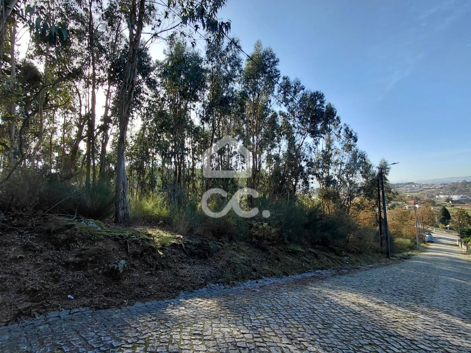 Terreno para Venda em Cristelos, Boim e Ordem Foto 9