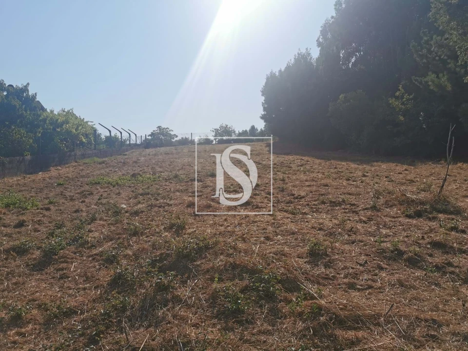 Terreno para Venda em Arcos e Mogofores Foto 11